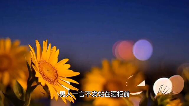 完整版《强制锁爱!京圈太子急眼了》薄司寒苏语鹿小说全文