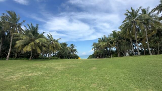 浪花追逐着沙滩,阳光撒在海浪上…此时的海边还没有熙熙攘攘的人群,只有我独自望着大海,些许惆怅.我想,大概与我一样,不愿直面分离