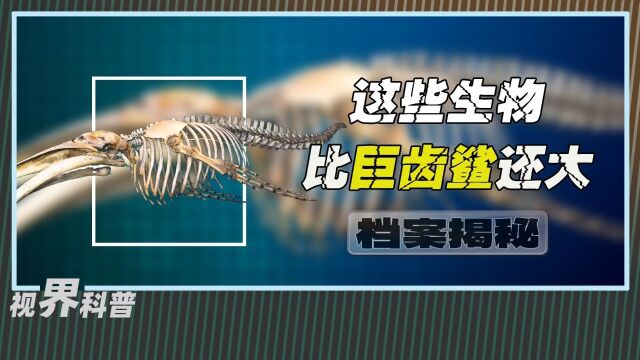 你或许知道水豚是最大的啮齿动物,但你知道超级啮齿动物是谁吗?