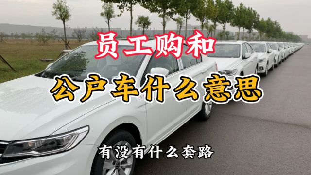 大众员工购车和公户车有啥区别?都有什么套路呢?