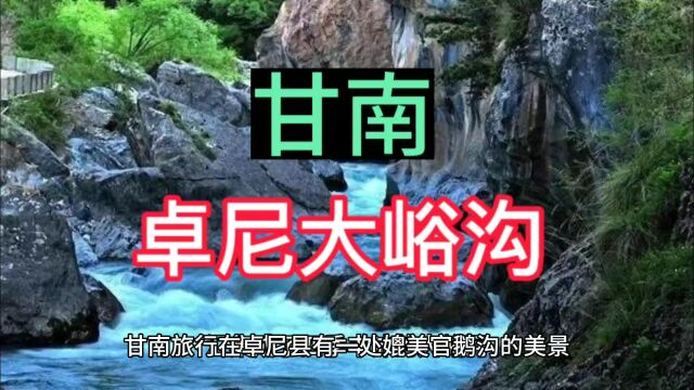 甘南卓尼县木耳乡大峪沟,进哥亲身过的风景区,这也是一个自然风光极好的地方,含氧量极高是养肺的好地方