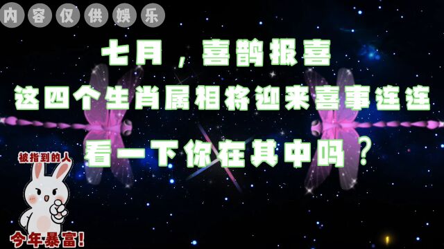 七月,喜鹊报喜,这四个生肖属相将迎来喜事连连,看一下你在其中吗?