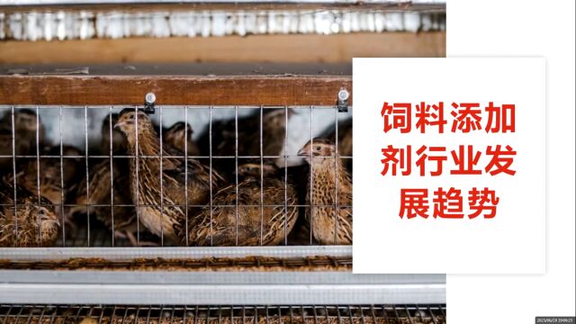 黑龙江中科精牧生物科技有限公司,饲料添加剂产品讲解下