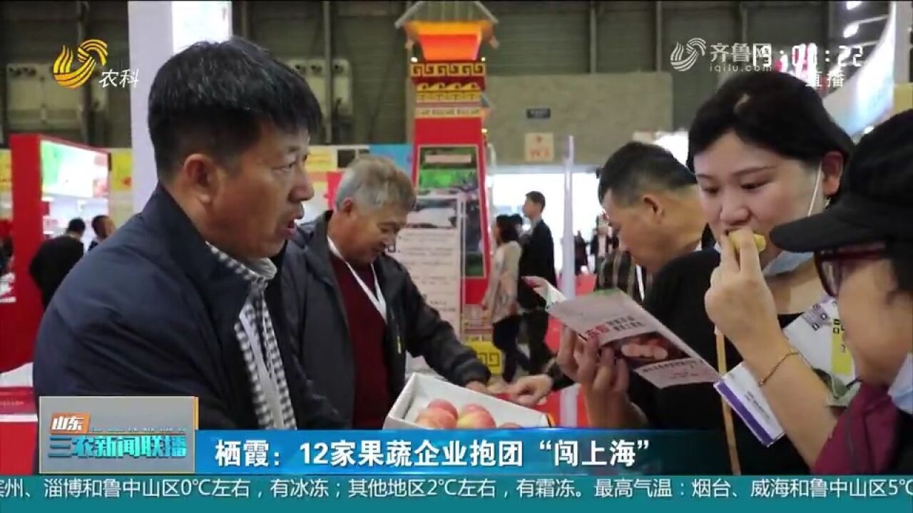 栖霞12家果蔬企业抱团“闯上海”,口感好香气足,市民纷纷抢购