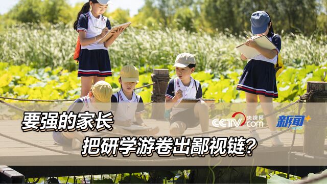 要强的家长 把研学游卷出鄙视链?