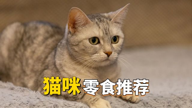 猫咪零食,有哪些推荐呢