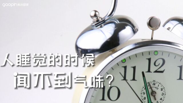 高品视界:人睡觉的时候闻不到气味?