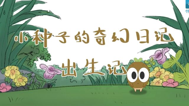 小种子的奇幻日记出生记