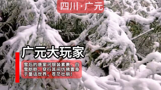 分享美景!唐家河初冬第一场雪, 非常漂亮!