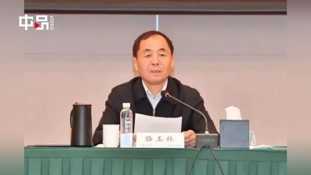 打虎!副部级“内鬼”骆玉林被开除党籍:搞两面派、做两面人