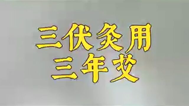 三伏灸为什么要用三年的陈艾?