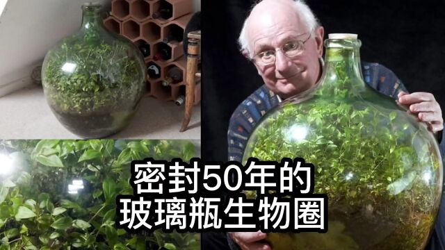 密封了50年的玻璃瓶,真的能维持这么久吗