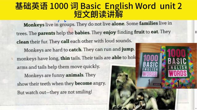 基础英语1000词 第二单元 Basic English Word unit 2 英音详解