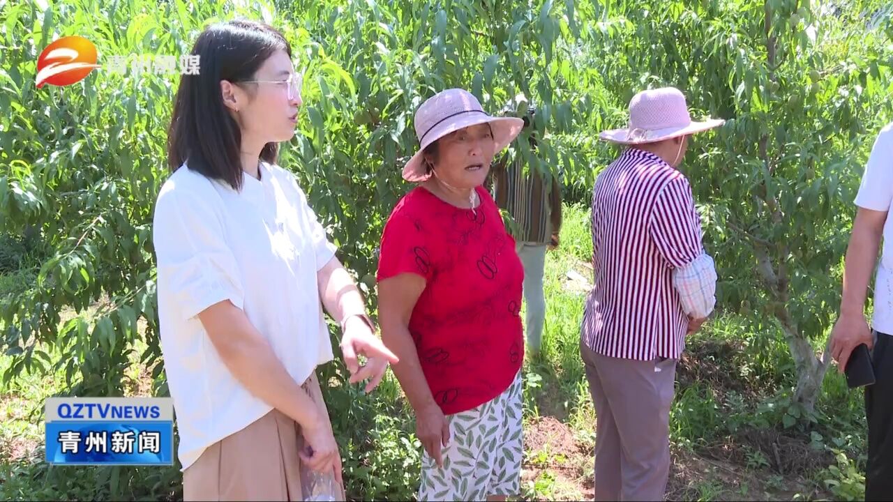 青州市农业农村局:加强果树管理 促进果农增收