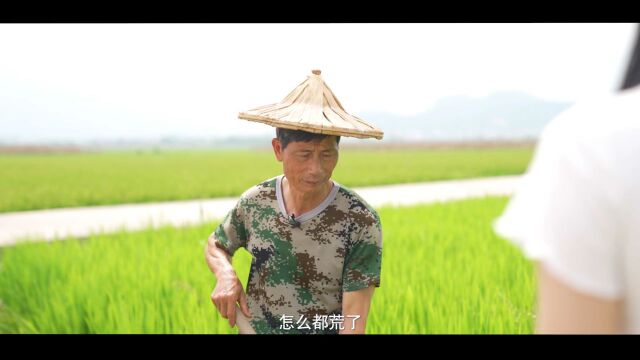 【服务乡村振兴】系列普法短视频《厝边检察官》第一期:耕地挖鱼塘,能“刑”么?