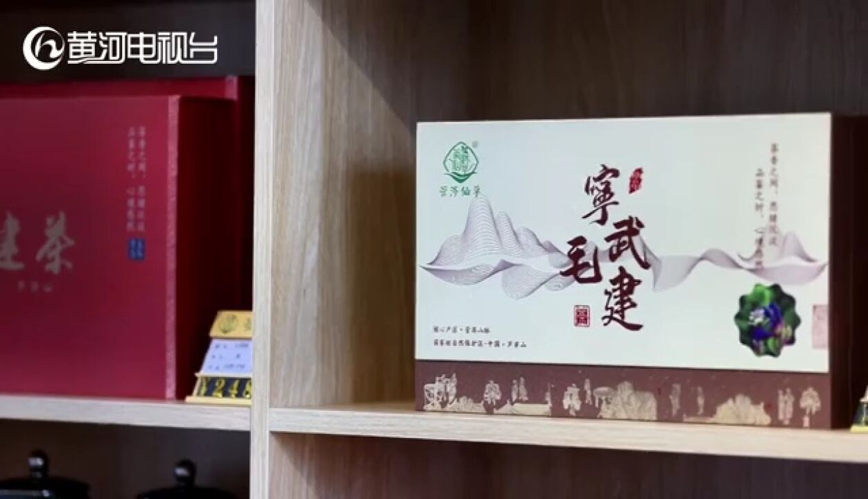 【高质量发展调研行】宁武 管涔山上药茶香 “小叶叶”带动大产业(二)