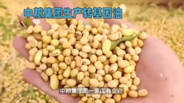 中粮集团生产的转基因油为什么要卖给老百姓