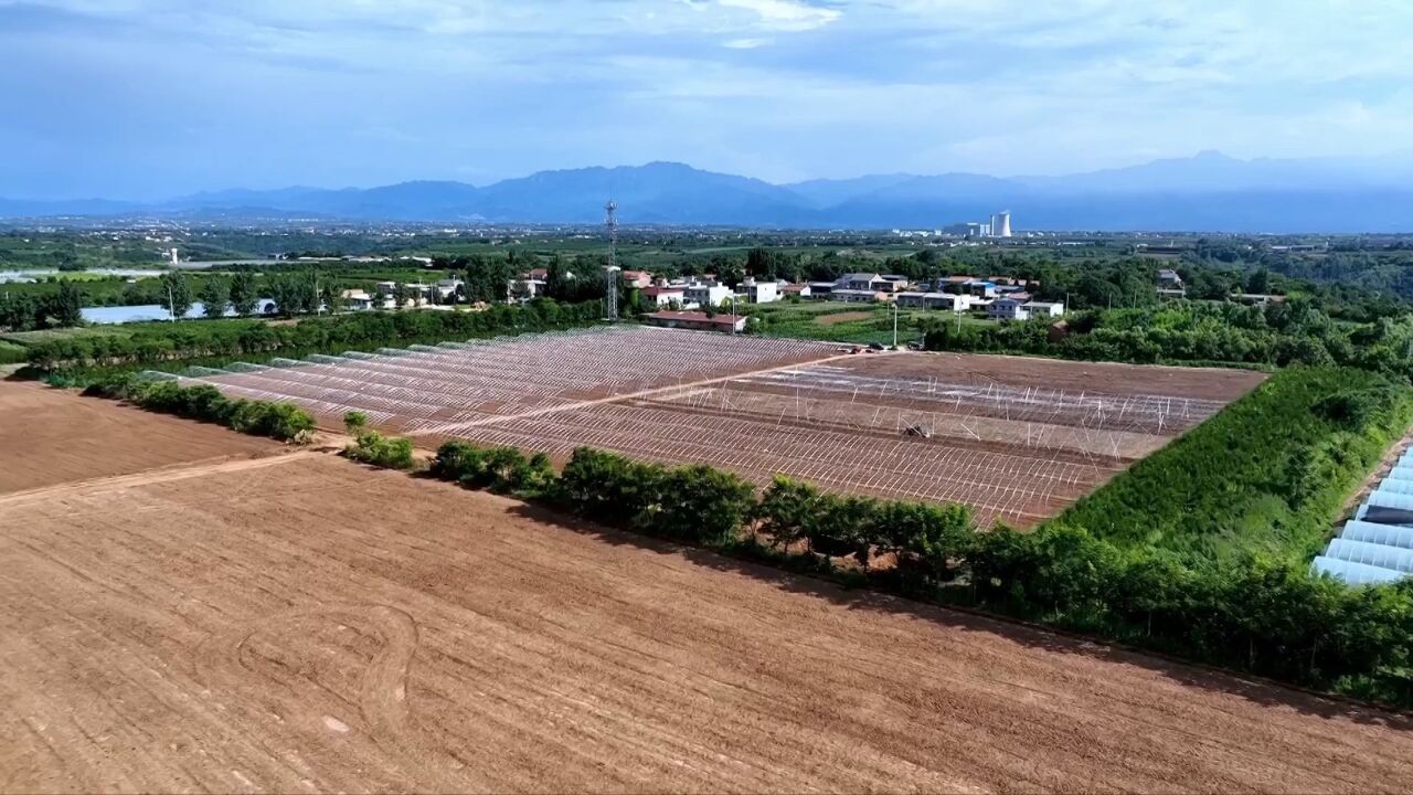 区县时间|蓝田县孟村镇蔬果大棚建设忙