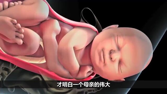 女人开十指有多大?3D展示仝过程,男孑看得都流泪了!