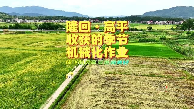 隆回高平田间风景,收获的季节……#家乡的变化 #美丽乡村 #乡村风景美如画 #蚂蚁航拍 #蚂蚁隆回