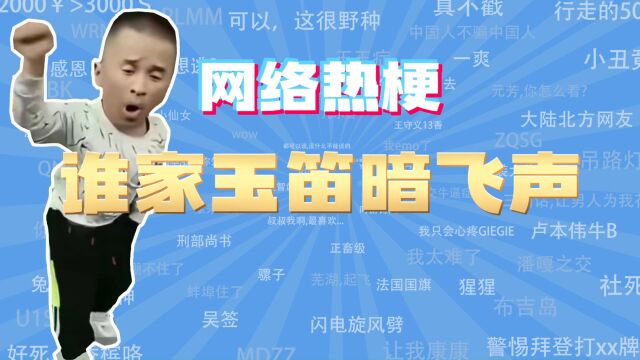 【网梗课代表】谁家玉笛暗飞声是什么梗?