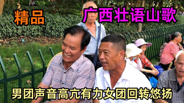 男团声音高亢有力女团回转悠扬,广西壮语搞笑山歌精品精彩纷呈