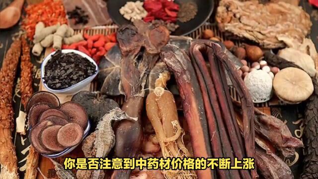 中药价格暴涨患者吐槽喝1天药花100元有药材涨幅超80%