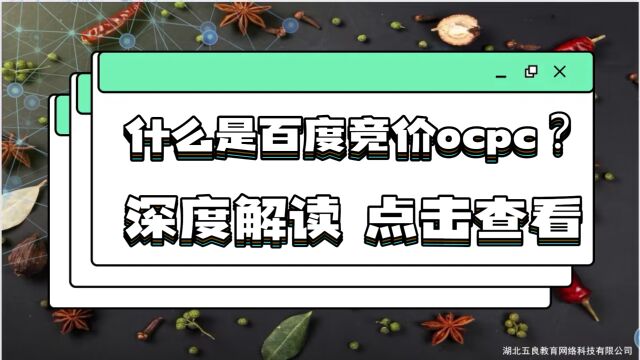 什么是百度竞价ocpc?