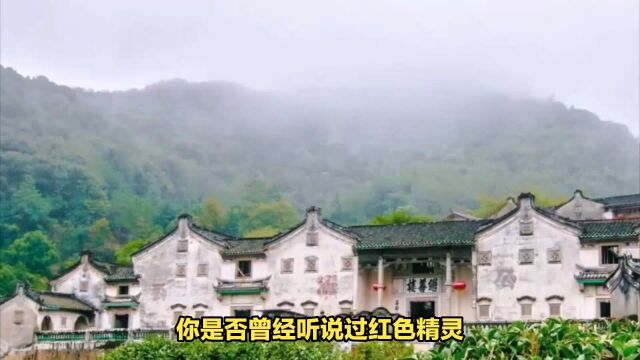 罕见红色精灵!广东梅州摄影师捕捉到闪电奇观!