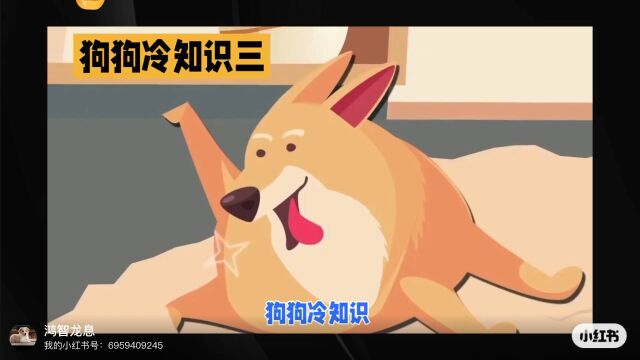 狗狗冷知识三