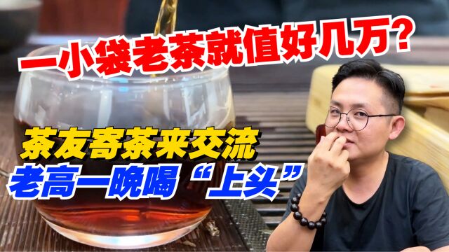 一小袋老茶就值好几万?茶友寄茶来交流,老高一晚喝“上头”!