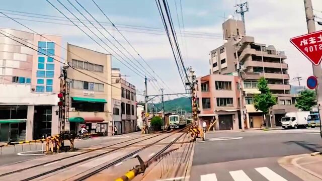 《情系大草原》,熟悉的旋律响起,满满的回忆