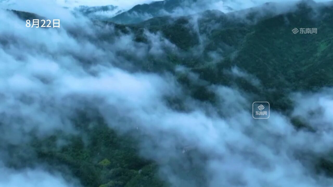 山东济南:雨落九如山 渺渺十里烟