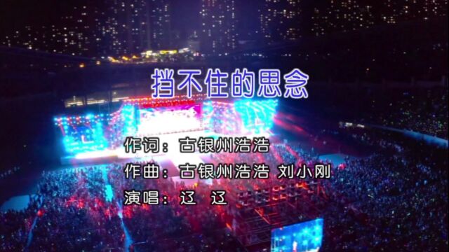 辽辽演唱歌曲《挡不住的思念》KTV版