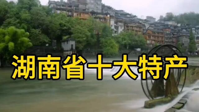 湖南省十大特产!