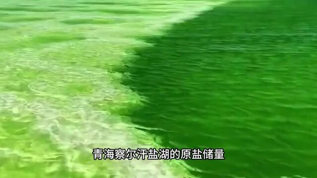 中国盐业结构,光是青海一湖,就够全世界食用1000年! #日本核污水 #抢盐 #察尔汗盐湖