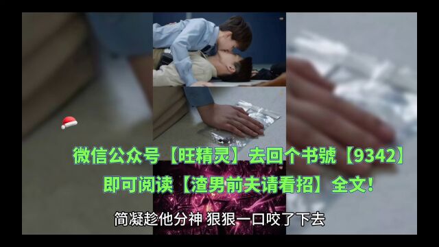 精品在线《渣男前夫请看招》简凝苏念全文