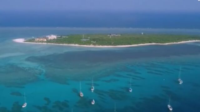 中国海洋生态环境状况总体稳中趋好