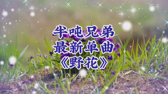 半吨兄弟最新单曲《野花》