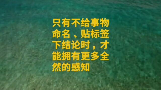 只有不给事物命名、贴标签、下结论时,才能拥有更多全然的感知