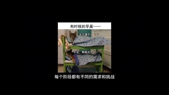 今日话题:人为什么越到中年越喜欢享受独处的生活方式?