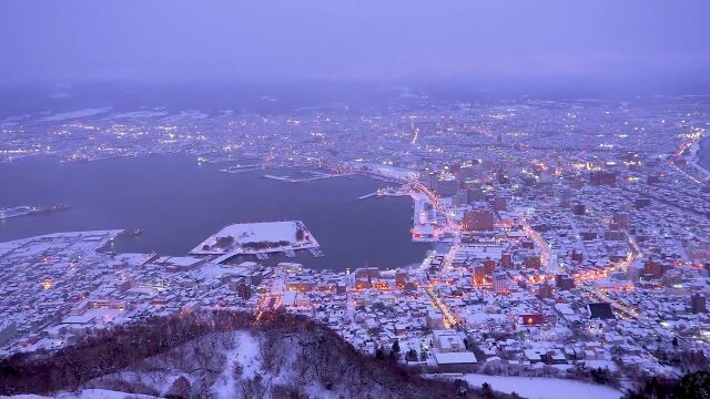 北海道的雪 如电影《情书》中般宁静