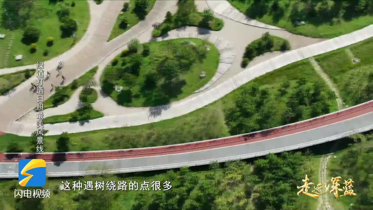 日照:遇树绕路 绿道建设最大限度保护原有生态