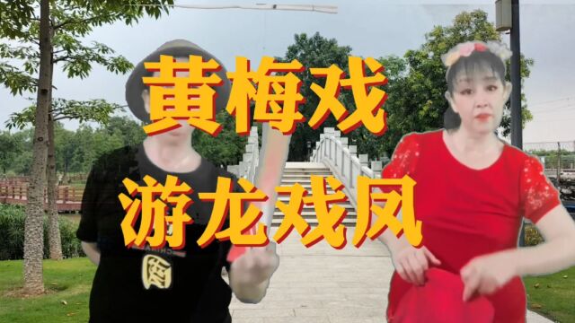 黄梅戏《游龙戏凤》人潇洒,性温存.