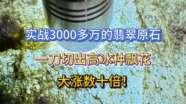 实战3000多万的翡翠原石,一刀切出高冰种飘花,大涨数十倍!