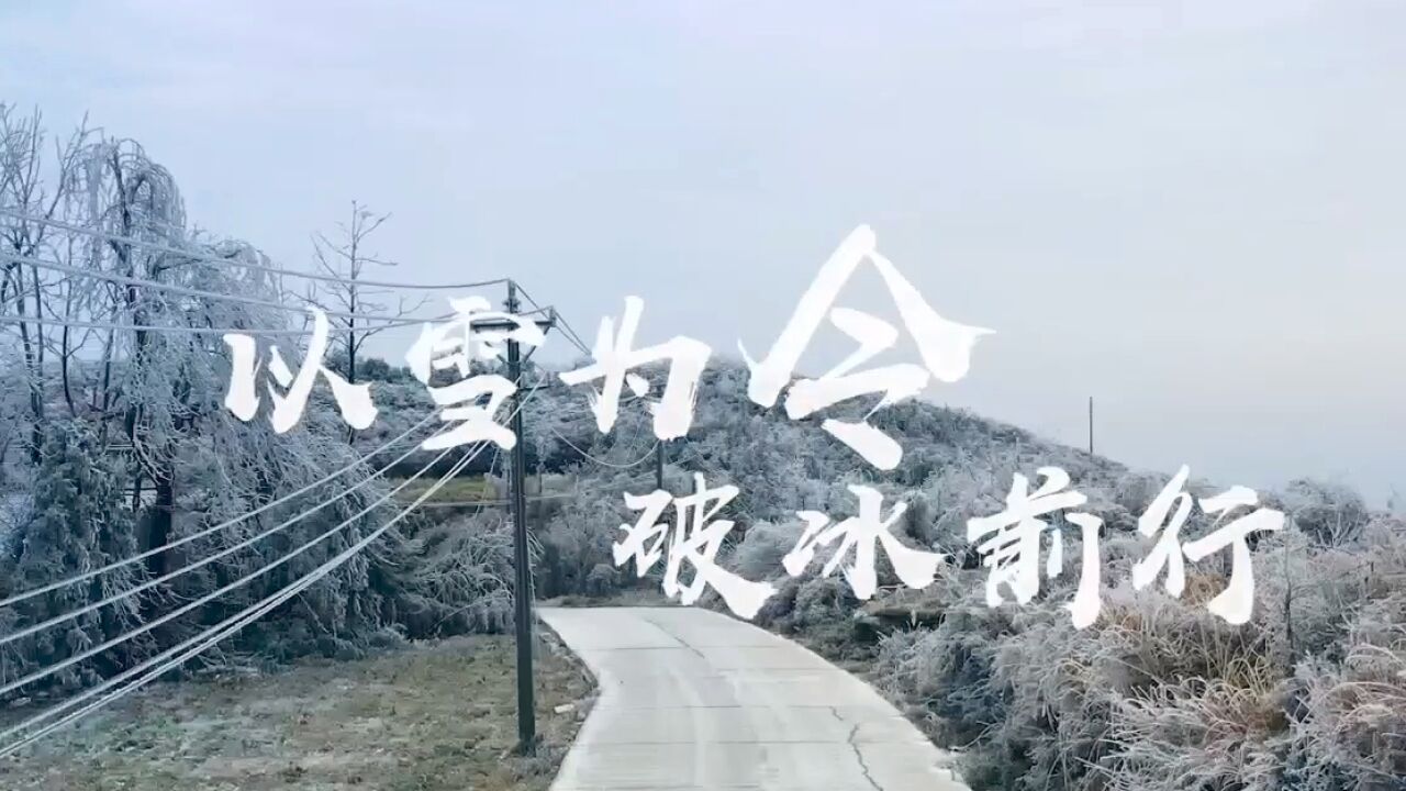 国网张家界供电公司:以雪为令 破冰前行