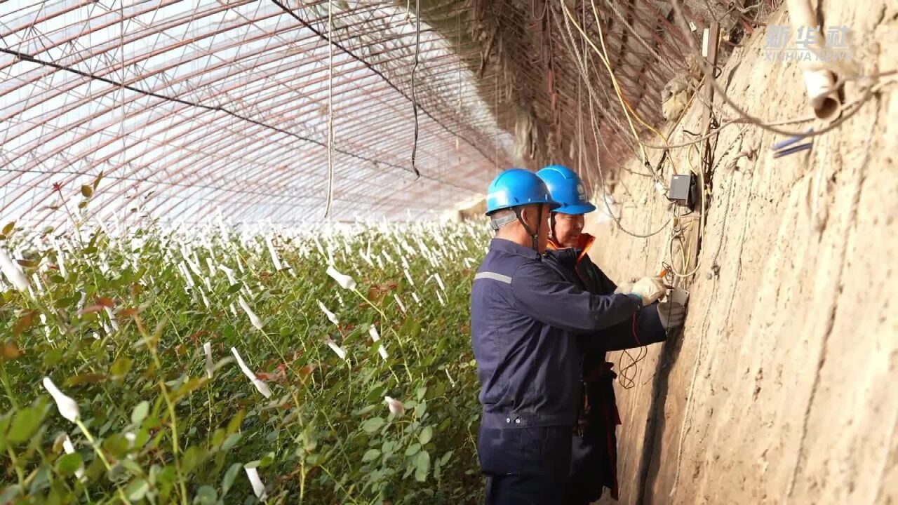 辽宁沈阳:“满格电”助力“市花”绽放沈城