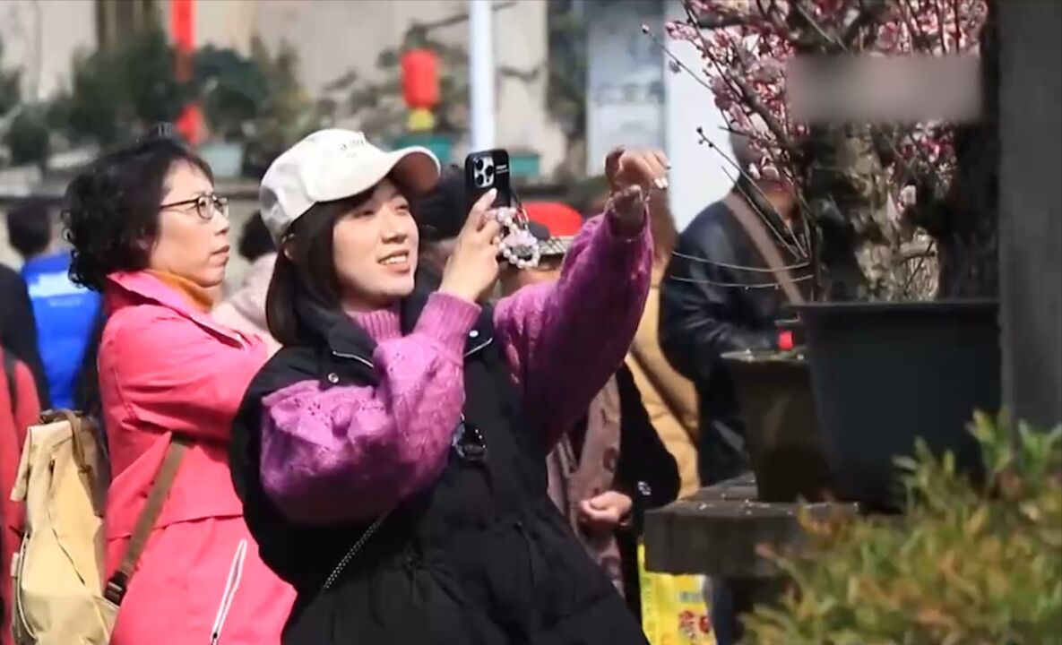 新年“热”消费,小盆景造出“大风景”