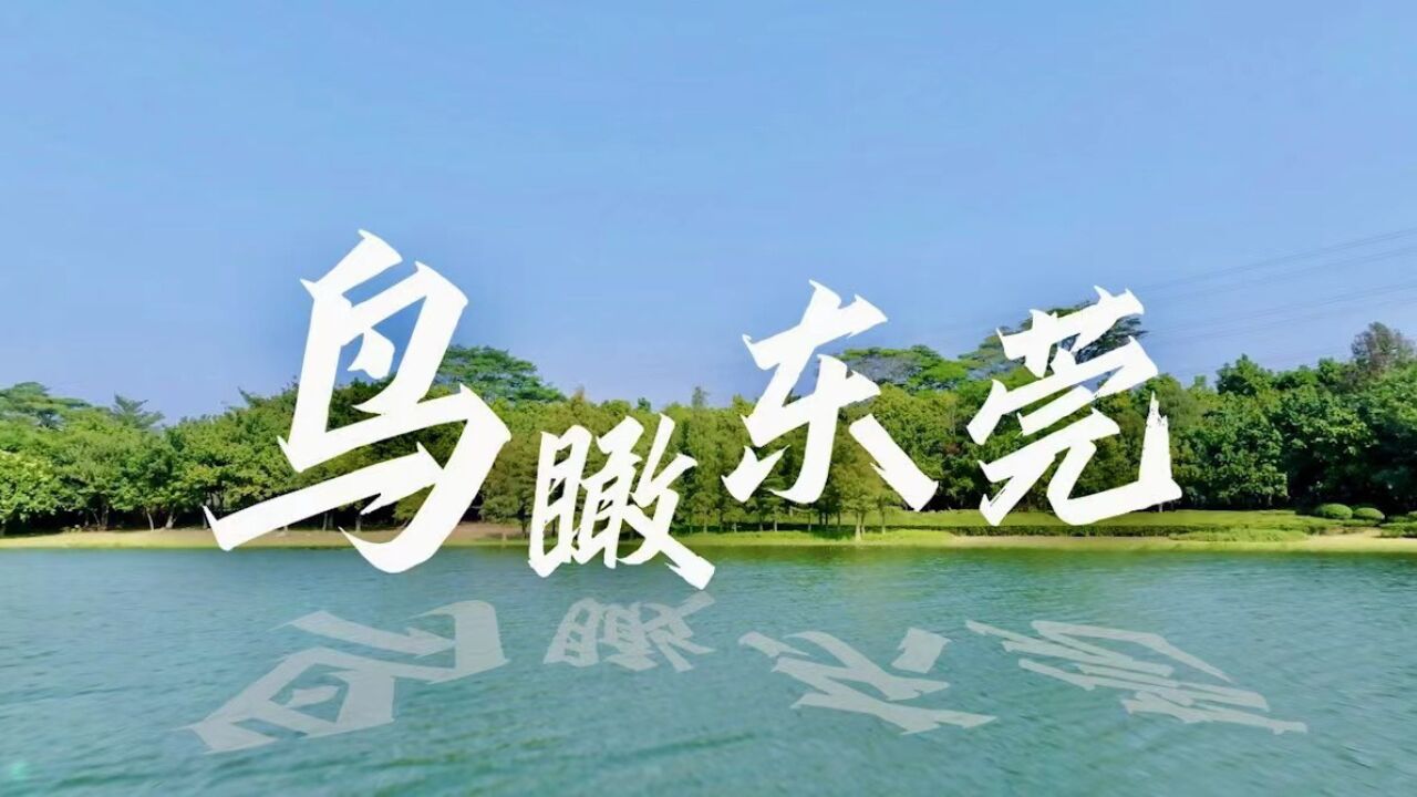 《鸟瞰东莞》:这座城市不仅“制造世界”,也“制造美好”!