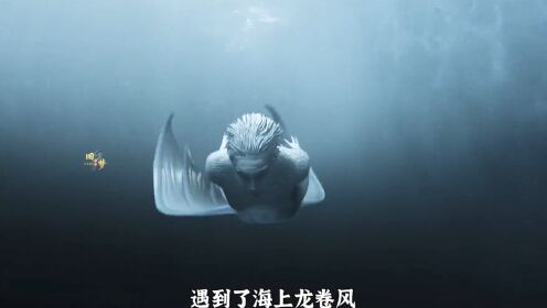 【腾讯视频】 小伙意外救了一条美人鱼，没想到竟想以身相许